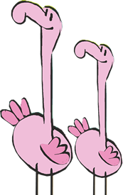 flamingók Happy